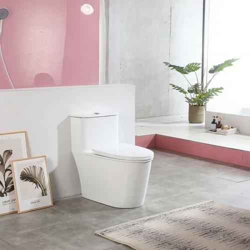 Wall-hung Western commode design with concealed cistern in a modern bathroom